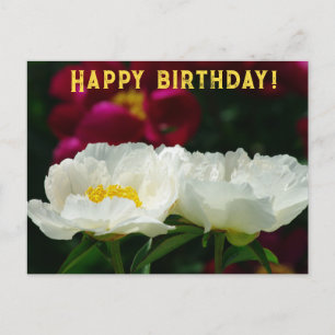 Postal Festiva Menor/Flor Mágica/Flor Blanca/Feliz Cumpleaños/