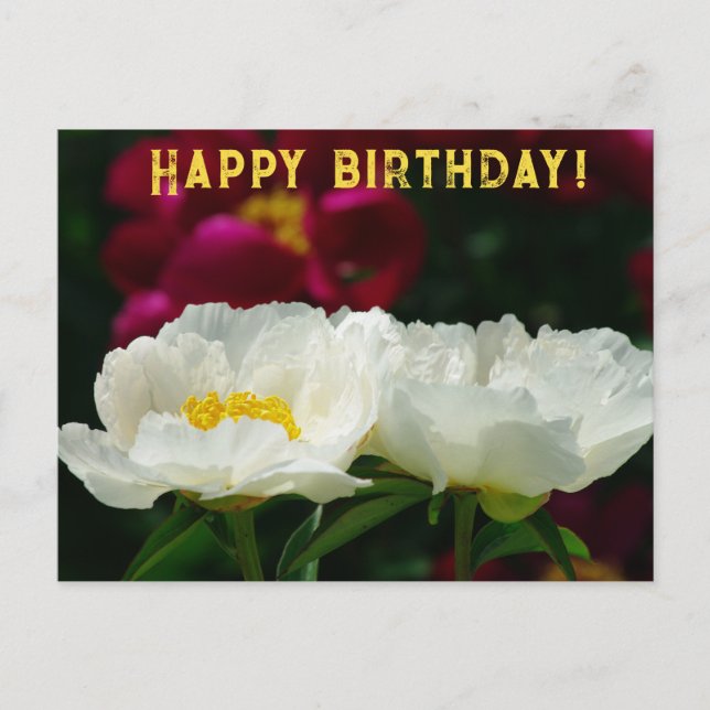Postal Festiva Menor/Flor Mágica/Flor Blanca/Feliz Cumpleaños/ (Anverso)
