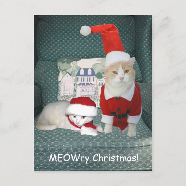 Postal Festiva ¡MEOWry Navidades! (Anverso)