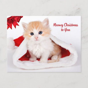 Postal Festiva Meowy Navidades te adoran gato en Santa Hat