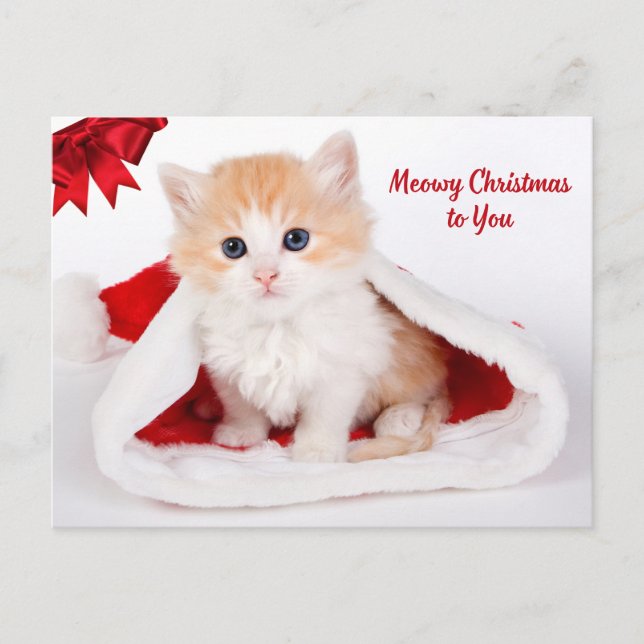 Postal Festiva Meowy Navidades te adoran gato en Santa Hat (Anverso)