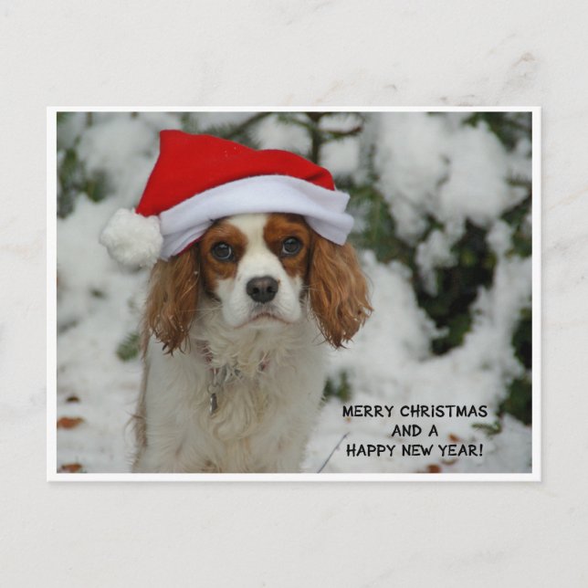 Postal Festiva Merry Christmas from Charly (Anverso)