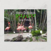 Merry Christmas from Orlando - Pink Flamingos