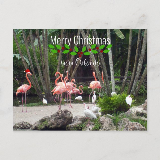 Postal Festiva Merry Christmas from Orlando - Pink Flamingos (Anverso)