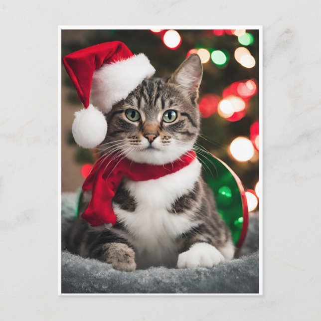Postal Festiva Merry Christmas with a cute kitten (Anverso)
