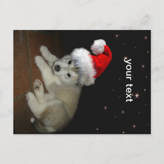 Postal Festiva Merry Xmas Puppy