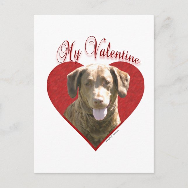 Postal Festiva Mi Chessie Valentine (Anverso)