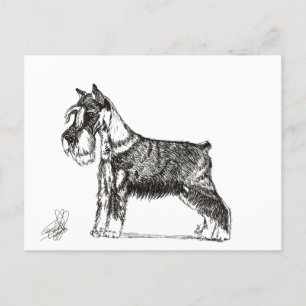 POSTAL FESTIVA MINIATURE SCHNAUZER