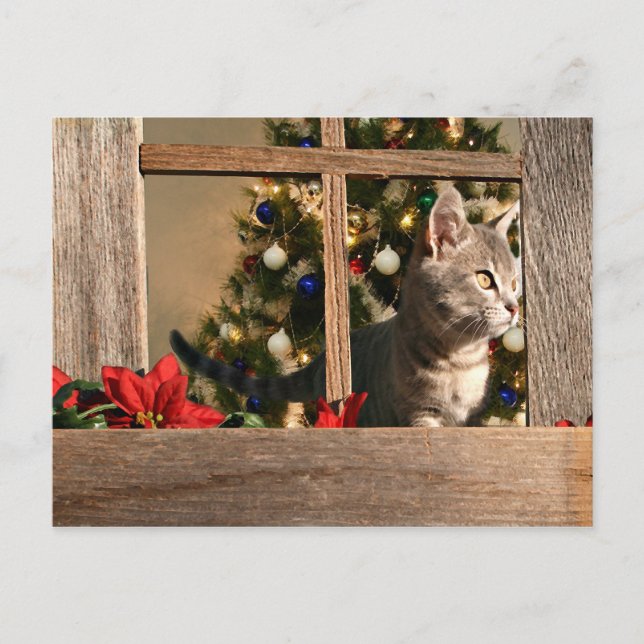 Postal Festiva Mirando a Santa Claus (Anverso)