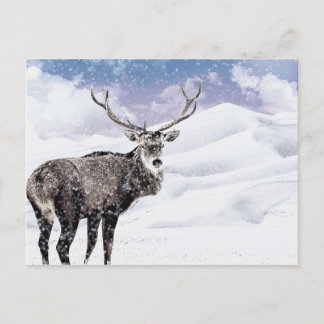 Postal Festiva ¡Mis Navidades Winter Stag!