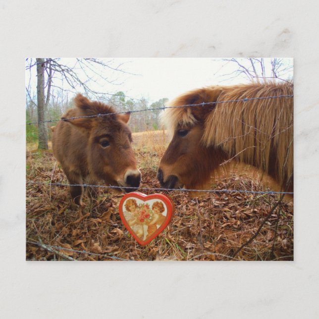 Postal Festiva Mítinico burro y corazón de San Valentín de caball (Anverso)