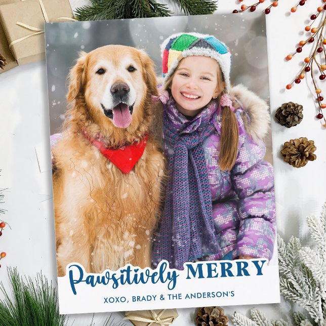 Postal Festiva Moderna foto de gato de perro Mascota Personalizad (Subido por el creador)