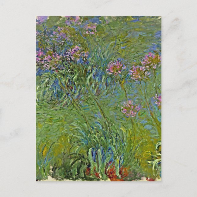Postal Festiva Monet - Flores Agapanthus, (Anverso)