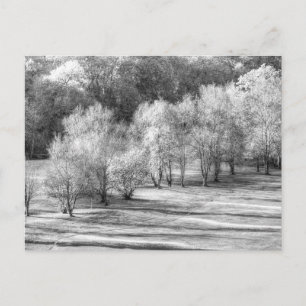 Postal Festiva Monocromo de la escarcha de Dartmoor Morning