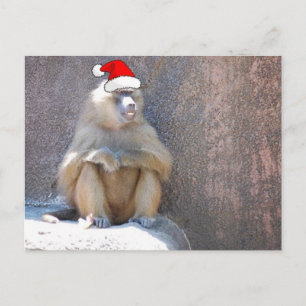 Postal Festiva Monos y babuinos navidades