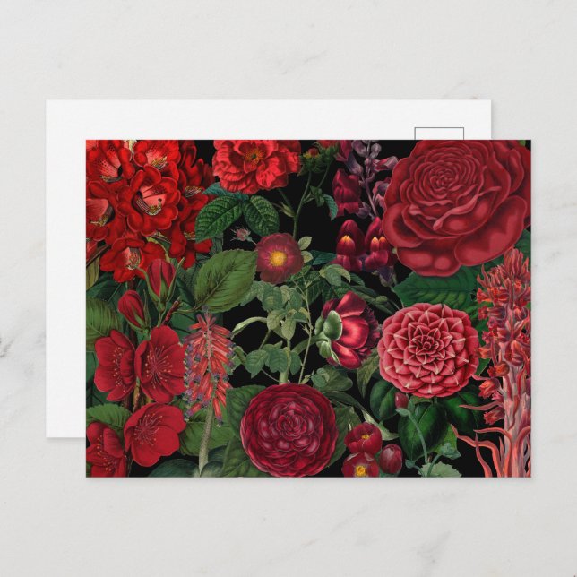 Postal Festiva Moody Florals Monograma negro y borgoña (Anverso / Reverso)