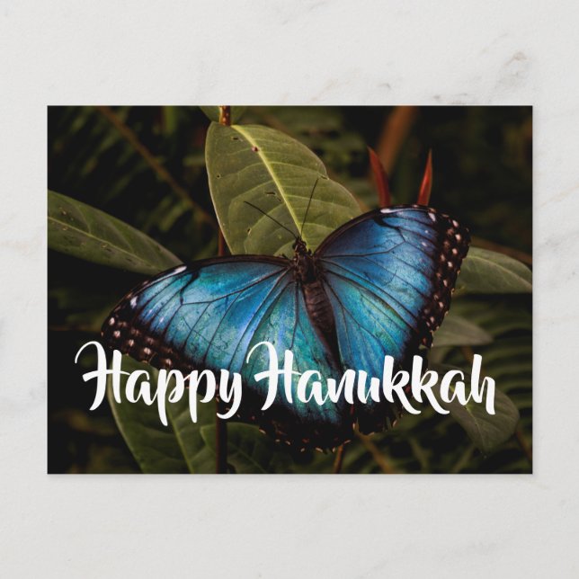 Postal Festiva Morfo azul, Hanukkah feliz (Anverso)