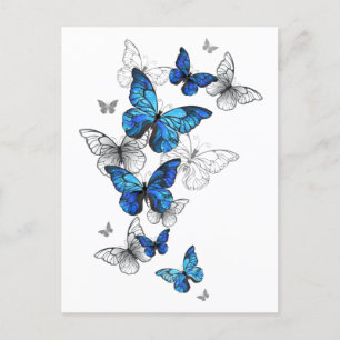 Postal Festiva Morfo de las mariposas voladoras azules