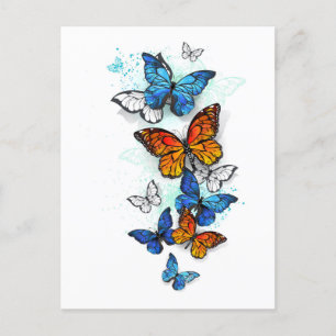 Postal Festiva Morfo y monarca de las mariposas voladoras
