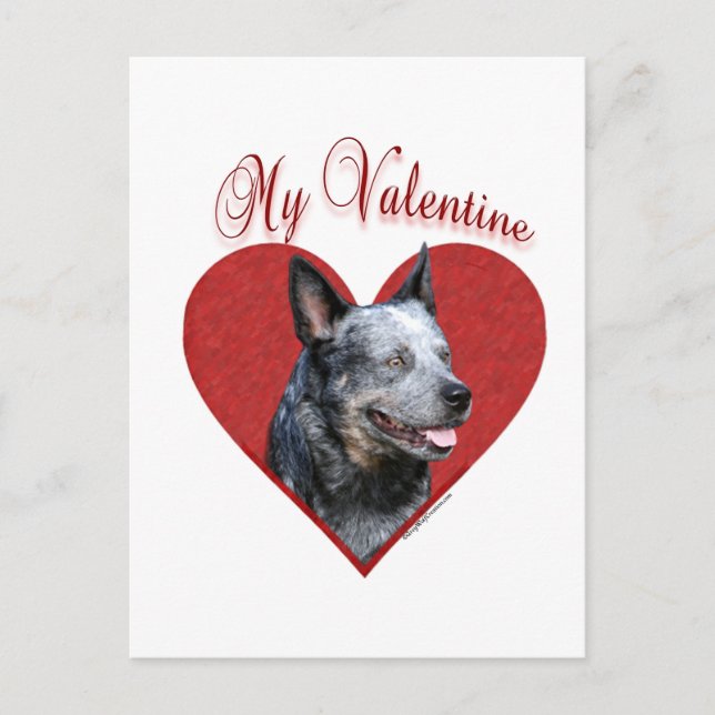 Postal Festiva My Australian Cattle Dog Valentine (Anverso)