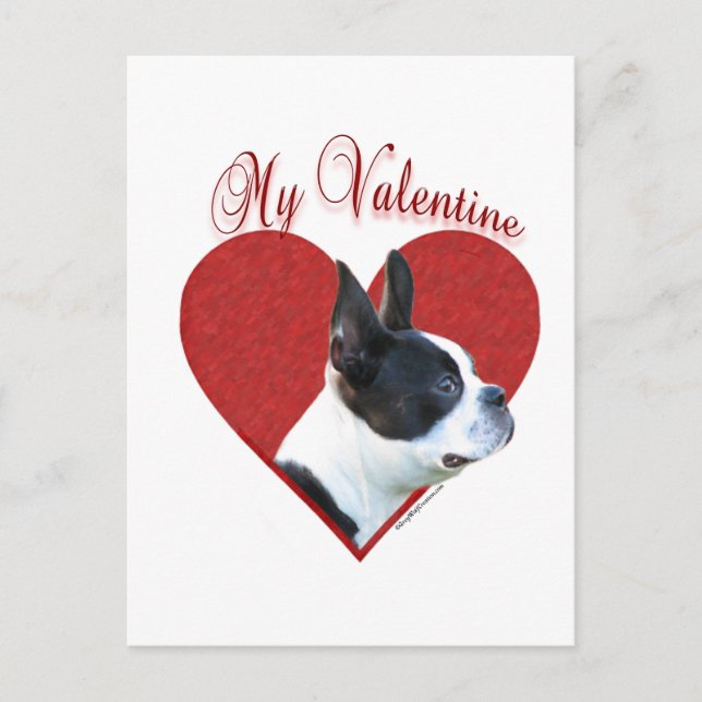 Postal Festiva My Boston Terrier Valentine (Anverso)