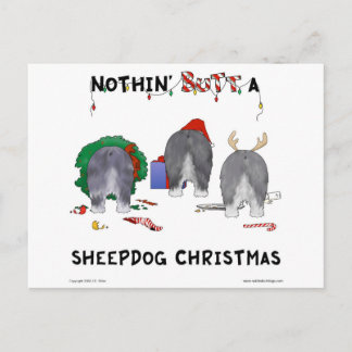 Postal Festiva Nada Más Que Navidades De Sheepdog