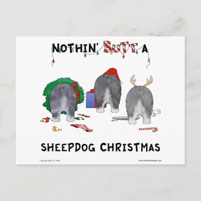 Postal Festiva Nada Más Que Navidades De Sheepdog (Anverso)