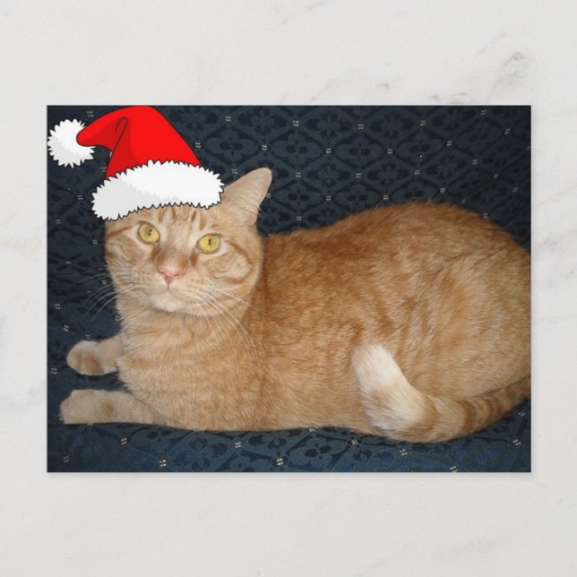 Postal Festiva Naranja de navidades Tabby Cat (Anverso)