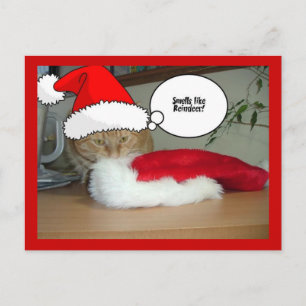 Postal Festiva Naranja de navidades Tabby Cat
