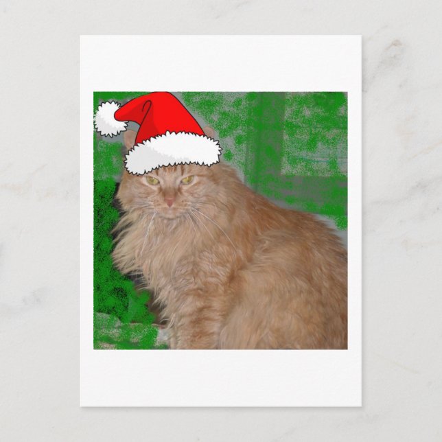 Postal Festiva Naranja de navidades Tabby Kitty Cat (Anverso)