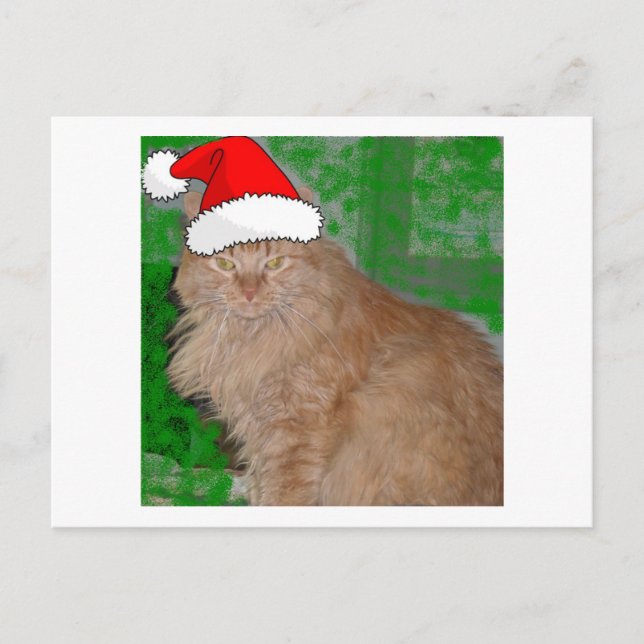 Postal Festiva Naranja de navidades Tabby Kitty Cat (Anverso)
