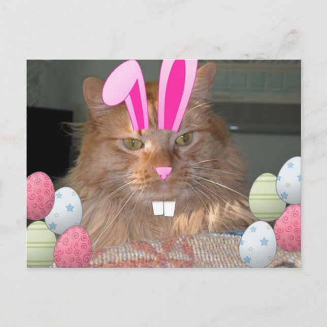 Postal Festiva Naranja de Pascua Tabby Kitty Cat (Anverso)