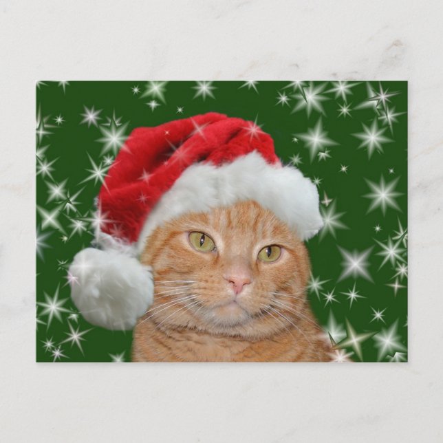 Postal Festiva Naranja tabby Santa (Anverso)