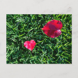 Postal Festiva Natures valentine: heart shaped red leaf