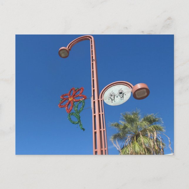 Postal Festiva ¡Navidad de Arizona! (Anverso)