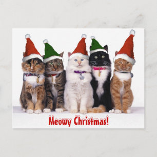 Postal Festiva "Navidad de Meowy!" Gatos