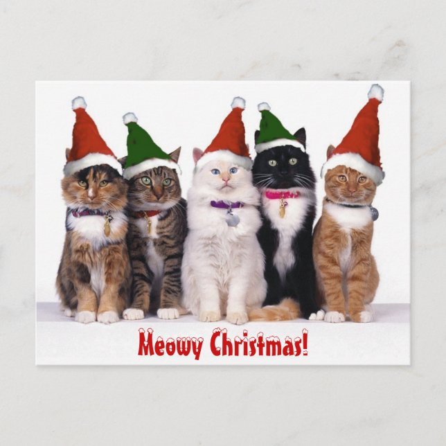 Postal Festiva "Navidad de Meowy!" Gatos (Anverso)