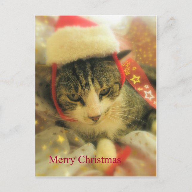 Postal Festiva Navidades (Anverso)