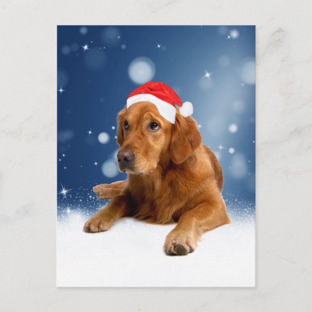 Postal Festiva Navidades adoran la nieve del perro de Santa Hat (Anverso)