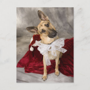 Postal Festiva Navidades Alsacia