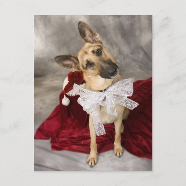 Postal Festiva Navidades Alsacia (Anverso)