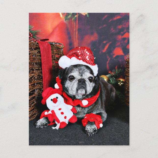 Postal Festiva Navidades - Ángel - Pug (Anverso)