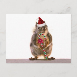 Postal Festiva Navidades ardilla con candy cane