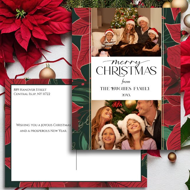 Postal Festiva Navidades audaces Poinsettia Botánica 2-Foto (Subido por el creador)