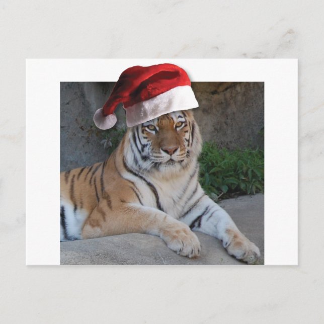 Postal Festiva Navidades Bengal Tiger (Anverso)