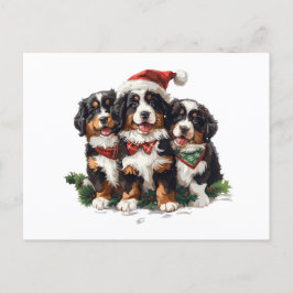 Postal Festiva Navidades Bernese Mountain Dogs