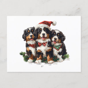 Postal Festiva Navidades Bernese Mountain Dogs