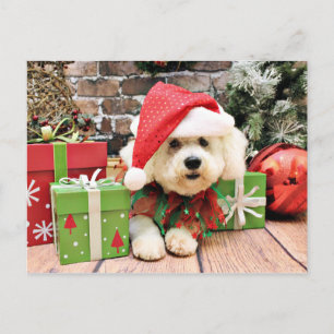 Postal Festiva Navidades - Bichon Frise - Daisy