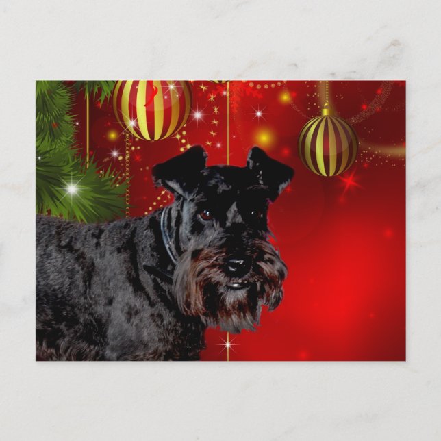Postal Festiva Navidades Black Schnauzer (Anverso)