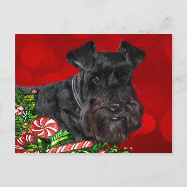 Postal Festiva Navidades Black Schnauzer (Anverso)